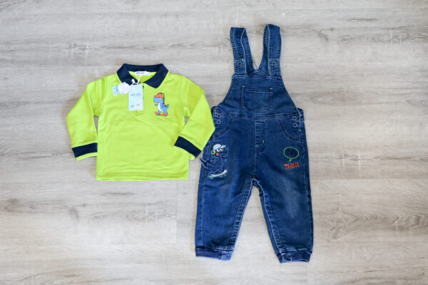 conjunto de jardineira