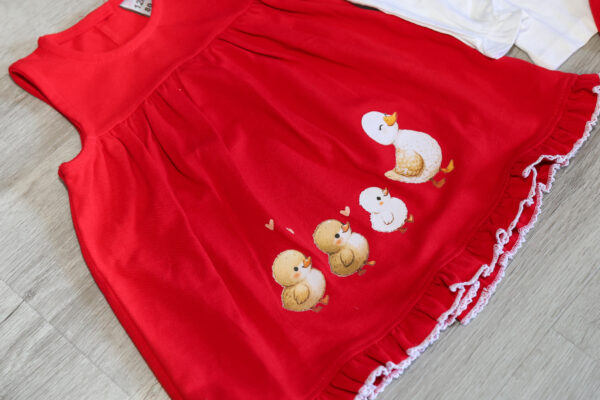 Conjunto de vestido e camisola